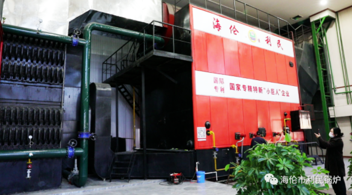 秸秆大包直燃锅炉