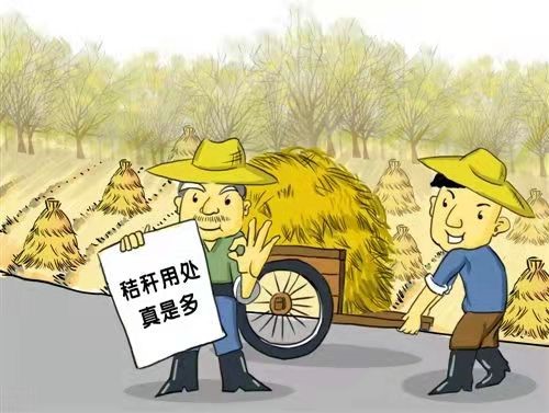 秸秆打捆直燃锅炉
