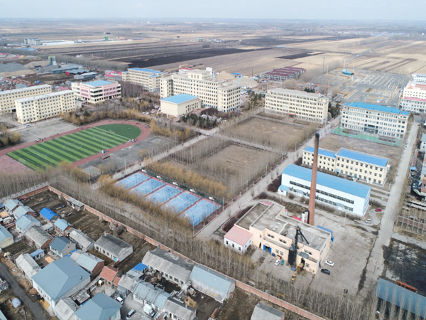 绥化市职业技术教育中心8.4MW(12吨)秸秆捆烧锅炉供暖项目