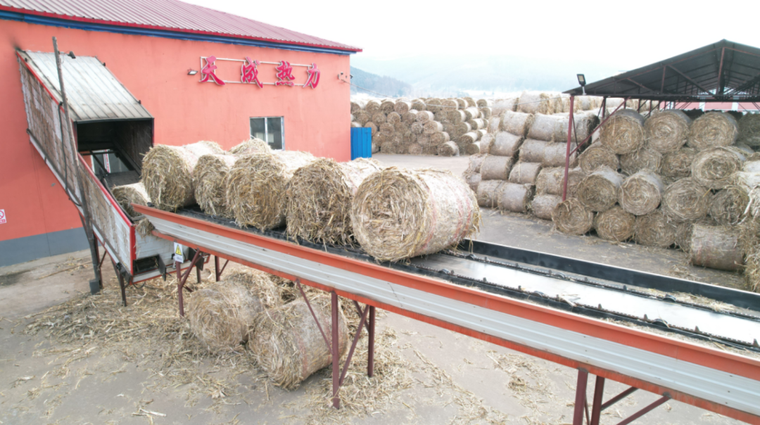 生物质锅炉蒸汽发生器的常识