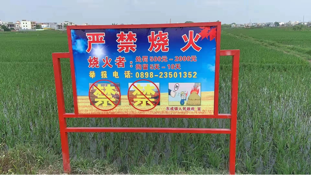 秸秆大包锅炉